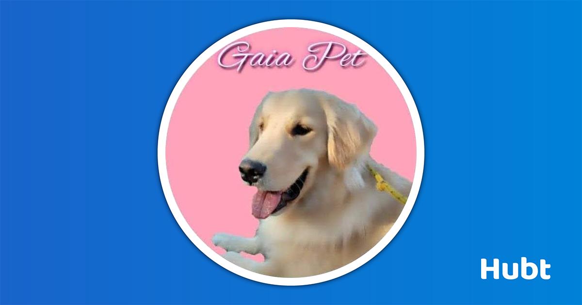 Gaiapet - Sumaré, SP